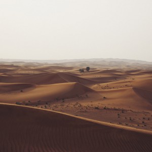 img03 img03